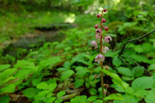 e0304001_2210799.jpg