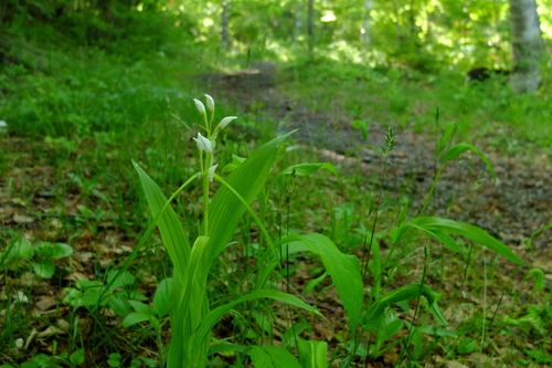e0304001_22113169.jpg