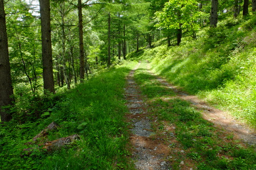 e0304001_2212821.jpg