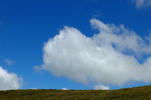 e0304001_2213649.jpg