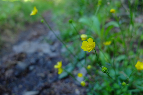 e0304001_2215355.jpg