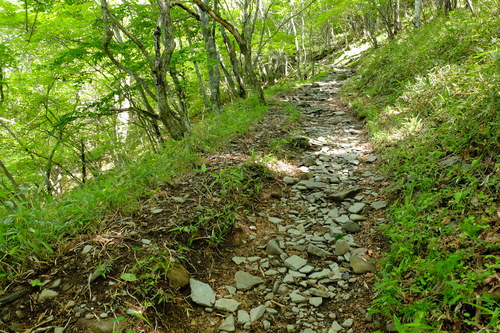 e0304001_2215982.jpg