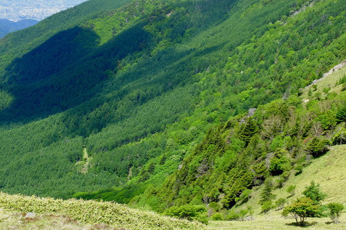 e0304001_22184777.jpg
