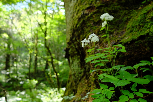 e0304001_2221327.jpg
