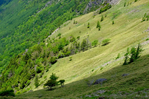 e0304001_2224441.jpg