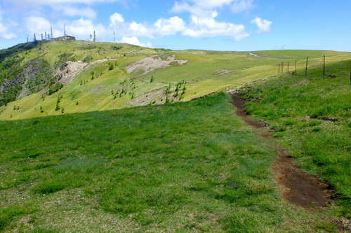 e0304001_2252486.jpg