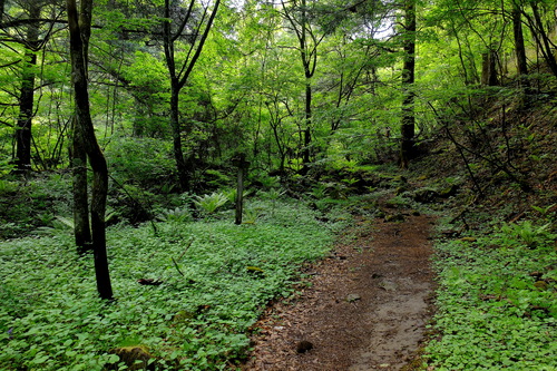 e0304001_2264926.jpg