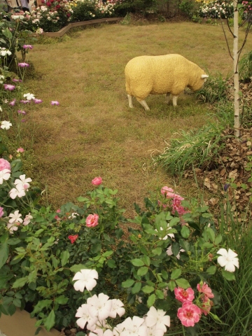 5月の思い出 国際バラとガーデニングショウ_b0331802_09221558.jpg