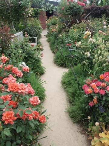 ５月の思い出　薔薇最盛期の横浜イングリッシュガーデン_b0331802_21403556.jpg