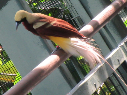 c0212604_21205146.jpg