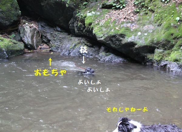d0224111_09545276.jpg
