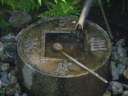 d0004717_712792.jpg