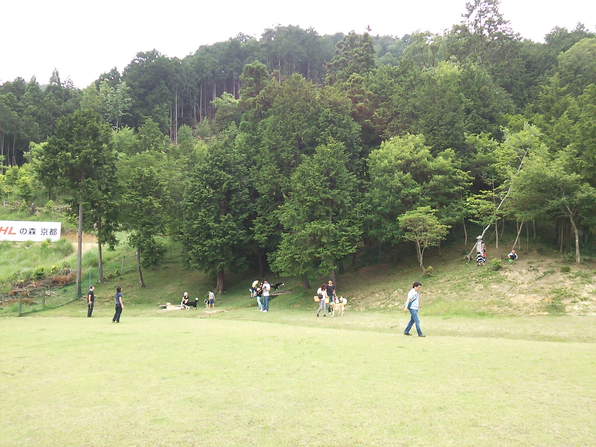 e0179321_1821440.jpg