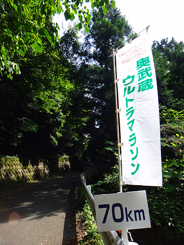 2015 初夏の奥武蔵ウルトラ、完走～♪_e0153022_10215428.jpg
