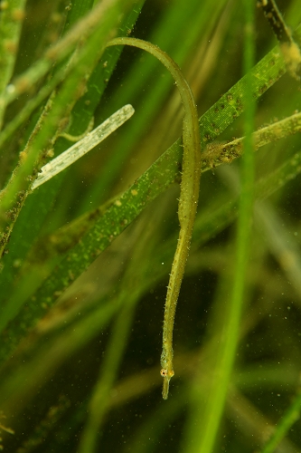 f0206424_85010100.jpg