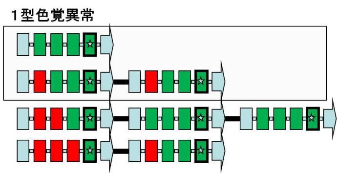 第406回 大阪眼科集談会 その4 (846)_f0088231_09381420.jpg