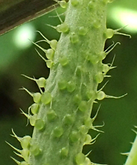 f0108133_0232966.jpg
