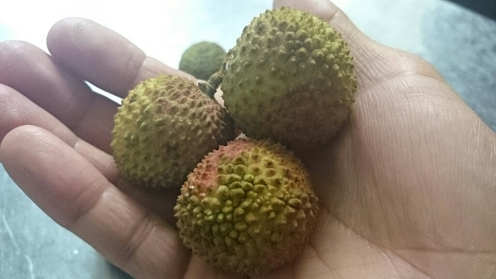 ライチ(litchi)_c0119937_00342854.jpg