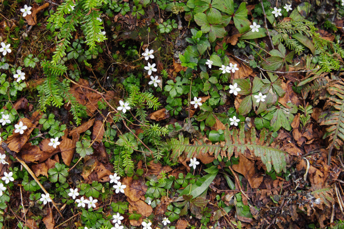 d0237340_05445007.gif
