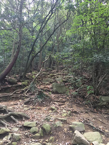 b0217643_82338.jpg