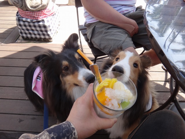 GWはパラダイス♪ 2日目_e0195743_1522632.jpg