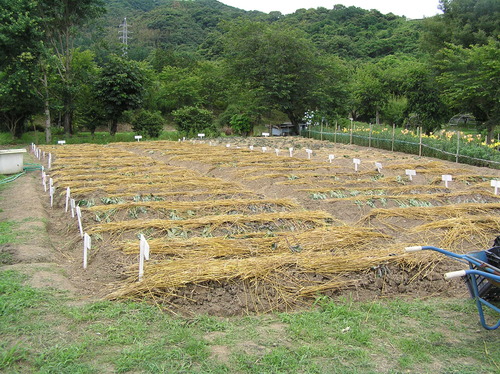 「大町子どもダッシュ村」開村しました！_c0283850_2101728.jpg