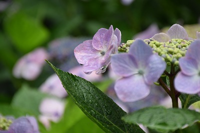 f0343750_12103353.jpg