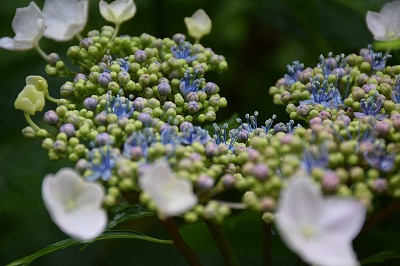 f0343750_1212388.jpg