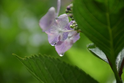 f0343750_1234627.jpg