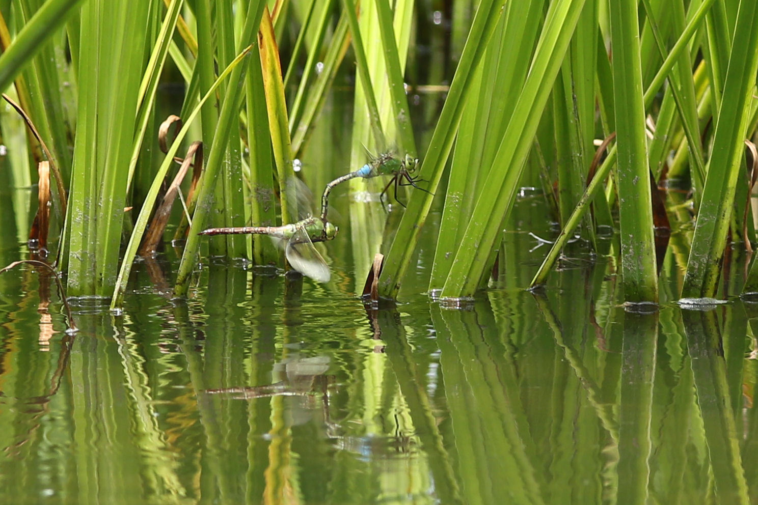 f0345350_07050764.jpg