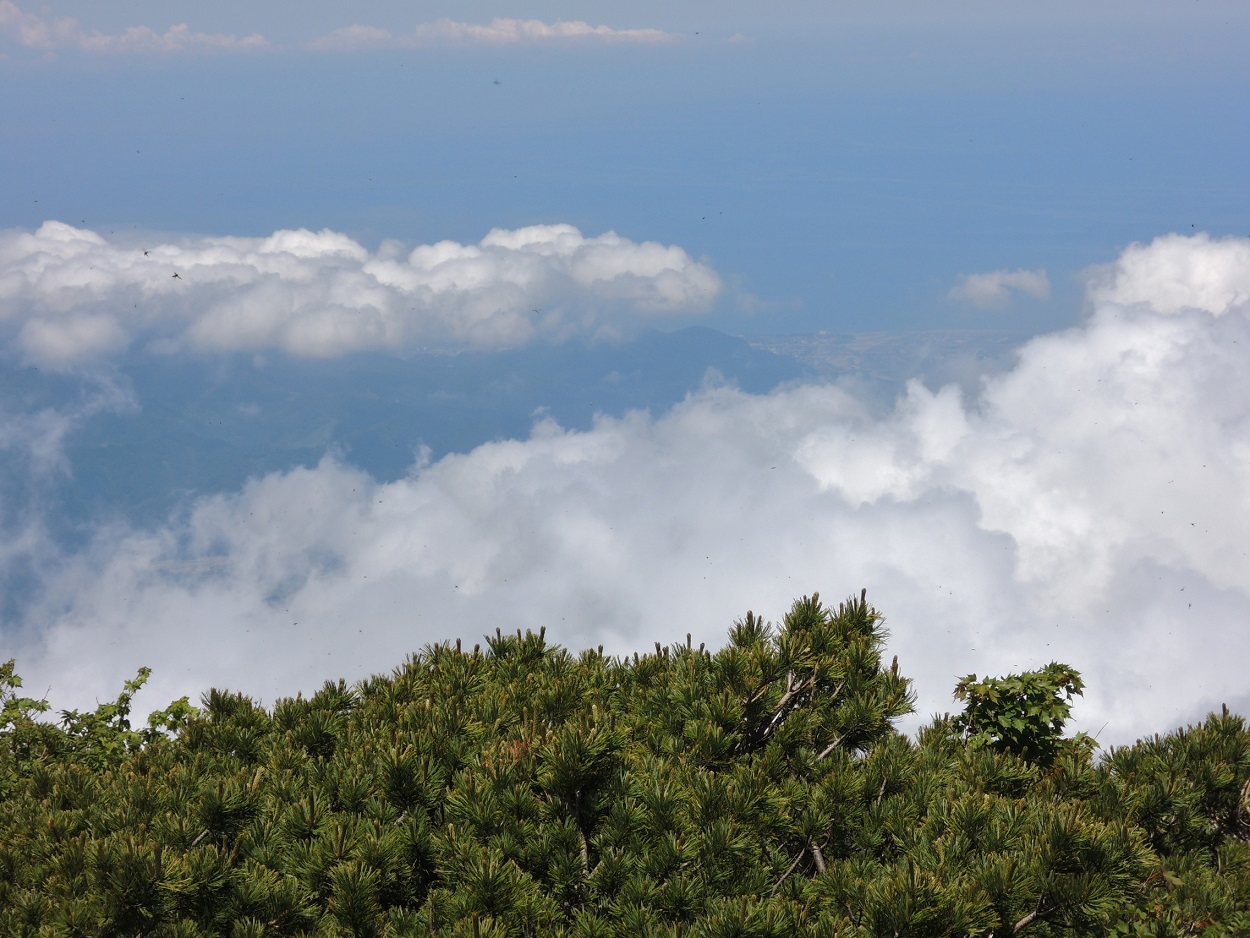 雨飾山　（頸城山塊）_a0286351_15279.jpg