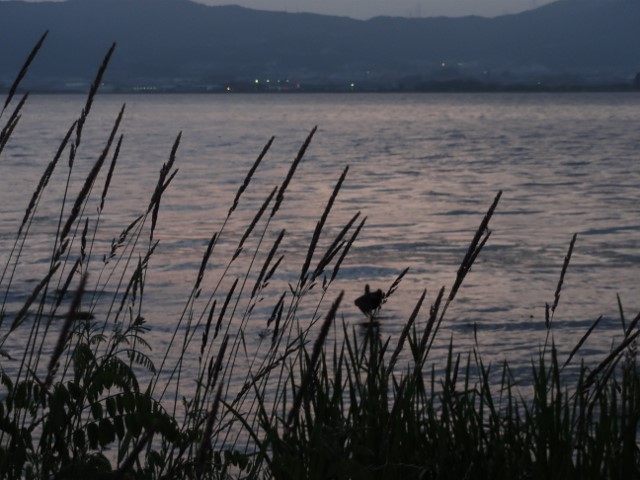 b0116765_2163892.jpg