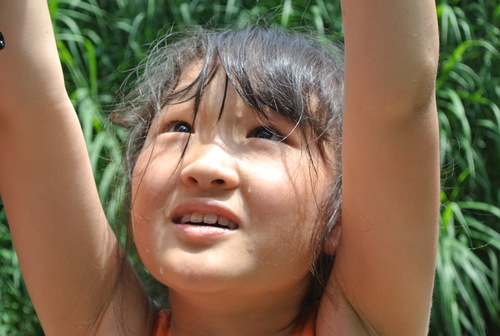 d0186069_12201415.jpg