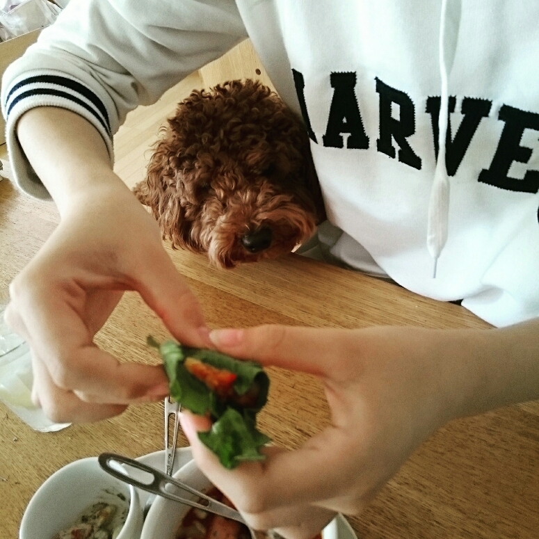 c0311170_1051745.jpg