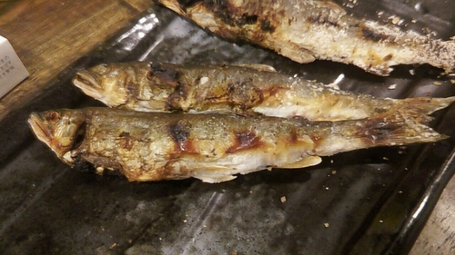 d0062076_125169.jpg