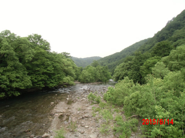 奥入瀬渓流　雨が降り出しました_d0165378_10121164.jpg