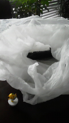 b0001280_21235049.jpg