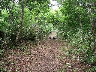 鍋倉山ハイキング_e0064783_20012473.jpg