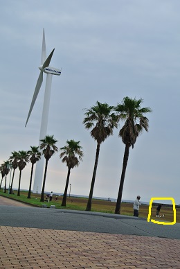 e0121583_21295178.jpg