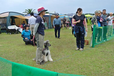 e0121583_2149377.jpg