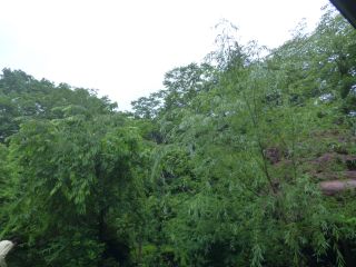 2015年6月14日 ダブルキッチン工事_b0098584_16391360.jpg