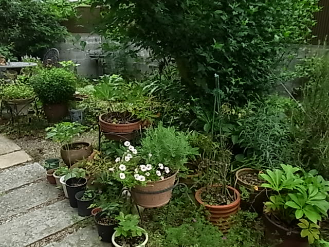 b0206784_84086.jpg