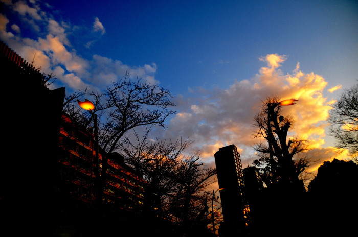 Landscape at evening in the city 夕景　都会編_c0246290_13012327.jpg