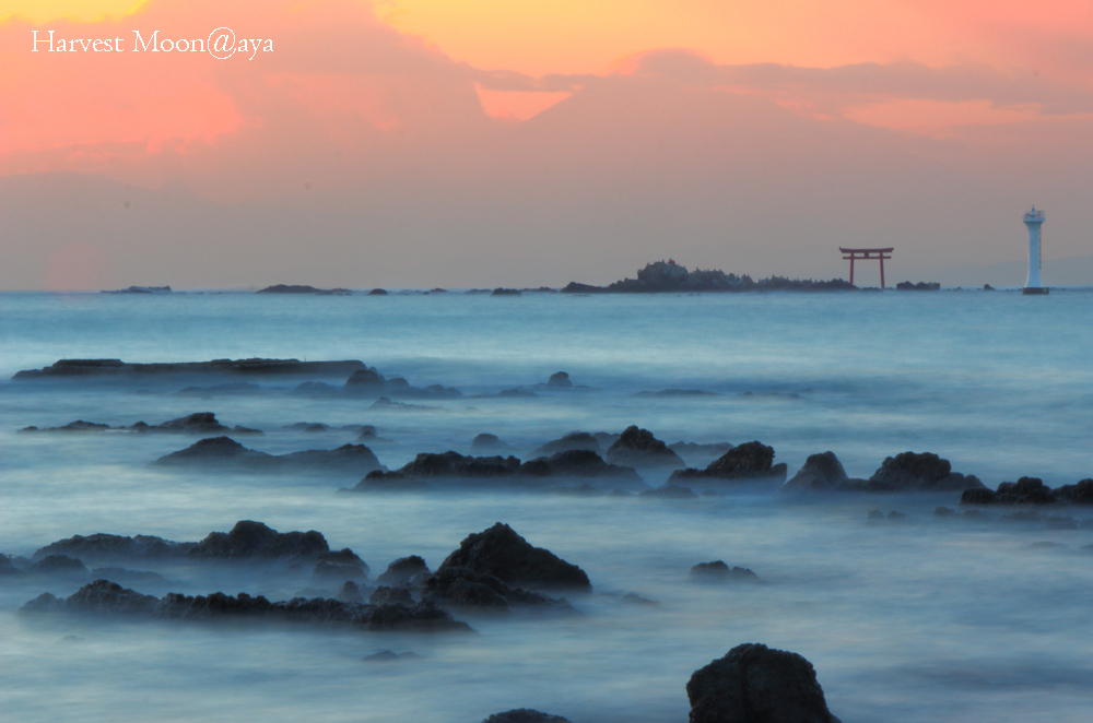 Soft Wave_b0208495_23173355.jpg