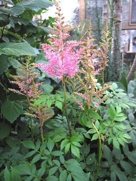 c0117898_11331483.jpg