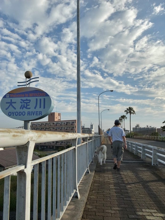 まいど~ (^o^)_c0049299_22492263.jpg