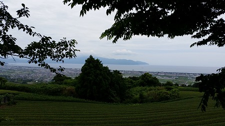 東海大学開発工学部の跡地利用!_d0050503_335279.jpg