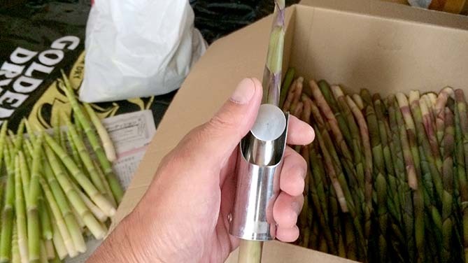 ネマガリダケの皮むき器 (15/06/15) : 広告屋のつれづれ ネマガリダケの皮むき器 (15/06/15) : 広告屋のつれづれ
