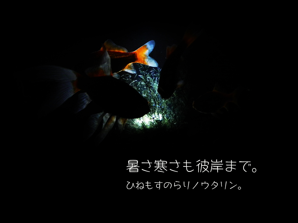 b0182613_07080586.jpg