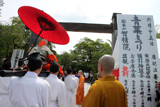 智積院 青葉まつり1_e0048413_1946099.jpg